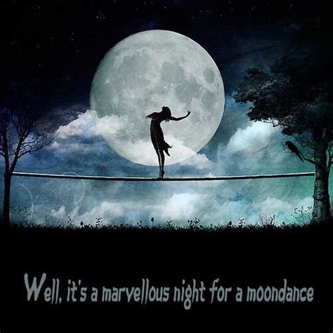Moondance magic view